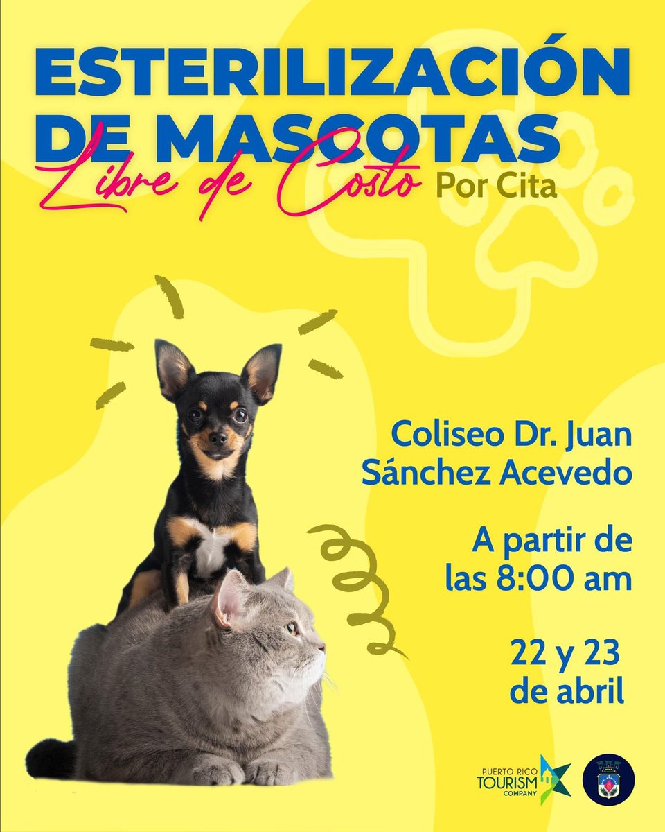 RemiMartinPR's tweet photo. ESTERILIZACIÓN DE MASCOTAS | Tómate el tiempo para esterilizar a tu mascota 🐶🐱

Hoy muchos puertorriqueños continúan demostrando su Gran Amor por los 🐶🐱 de muchas maneras unos esterilizando otros ayudando y aportando de muchas maneras para que la actividad sea todo un éxito ! https://t.co/knt5CgHjd8