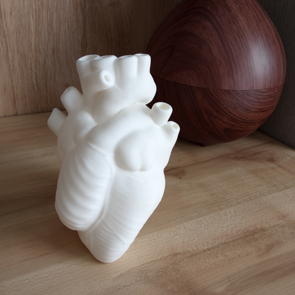 BiocraftLab's tweet image. Check out our anatomical heart vessel 😍 A great gift for mother's day! 💌
