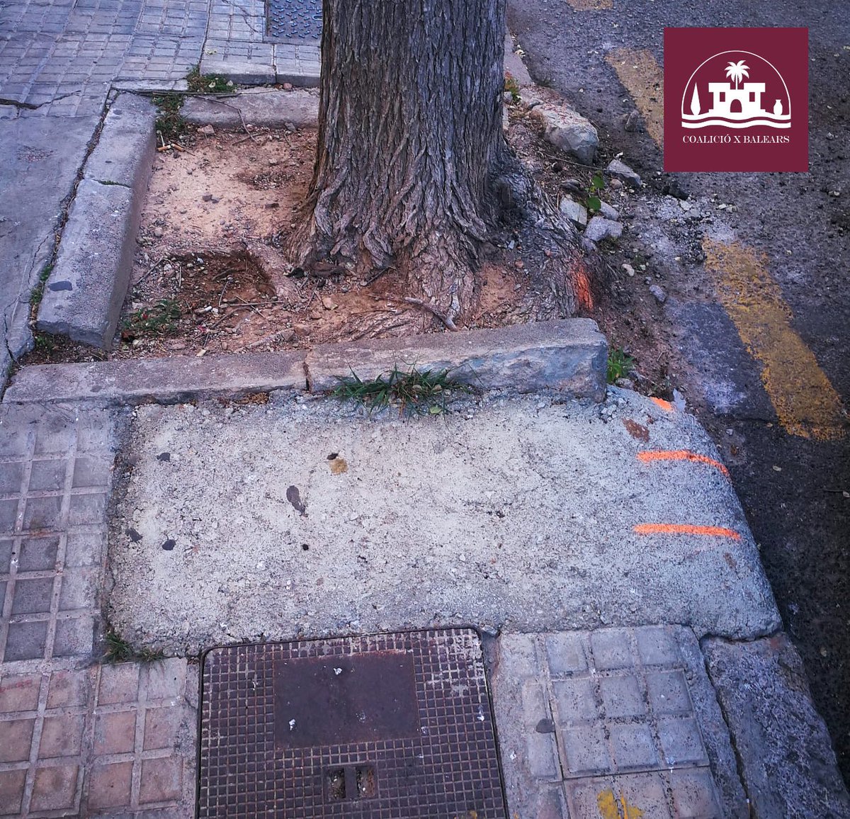 Coaliciobalear's tweet photo. Calle Juníper Serra. Lleva 4 años así. Son Armadans, totalmente descuidado https://t.co/Vs3Pu0cz8B