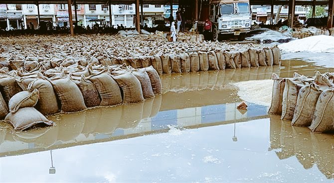 GrowthOfBharat's tweet photo. After the rains in the past few days, wheat bags in Punjab and Haryana mandis drenched, lie in a pool of water. This is a scene that has not changed for the past 30 years. The pressing question is why can't public investment be made for upgrading mandi infrastructure?
#GovtFails #NeedAction