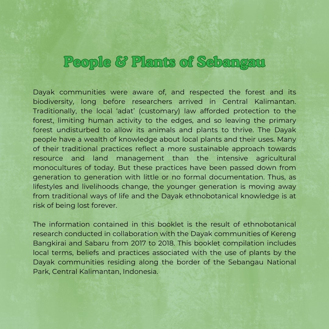 BorneoNature's tweet photo. Selamat Hari Bumi dan Hari Raya Idul Fitri 1444 H! ๐๐
Dengan suka cita hari raya, kita juga mengenalkan buku berjudul โPeople & Plants of Sebangauโ karya Siddarth Badri bersama Tim Lapangan Senior/BNF.
Yuk baca di sini ๐๐๐
https://t.co/VYiDK6avRe
#haribumi #earthday https://t.co/tv3lMBhHfG