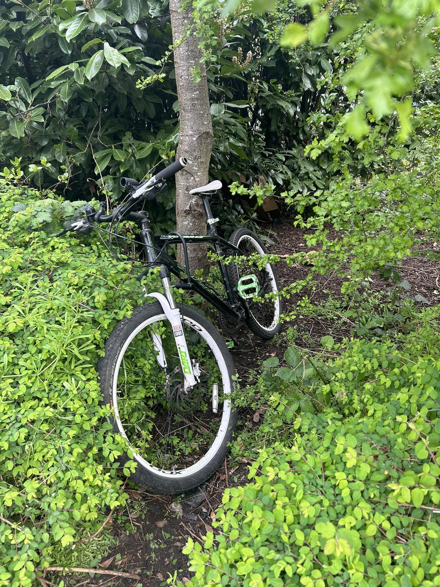 Putney HIVE tweet media