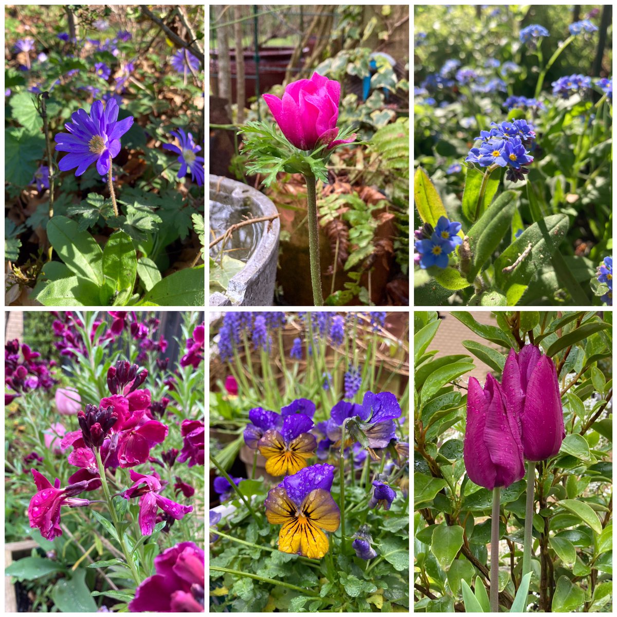 Sunshine and showers for #SixOnSaturday 💕💙