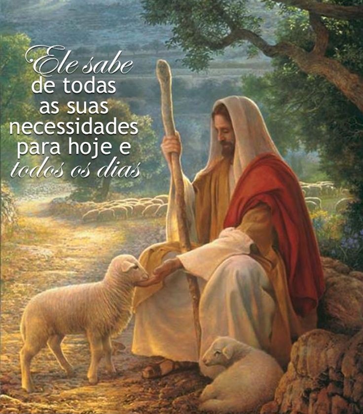 ovelhinhadeDeus's tweet photo. Gratidão por todo cuidado de sempre, Senhor!❤️ https://t.co/ROyEiWBc0M
