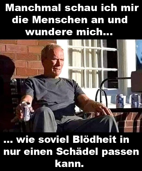 Nimrodderjager's tweet photo. @JohannesNormann 90% der 🇩🇪 sind Halbintelligenzler, dass muss man so deutlich sagen. Es gibt nur ganz wenige, helle Kerzen auf der 🇩🇪 Torte, aber die sterben langsam aus + am Horizont sieht es nicht so aus, als wenn sich das ändert. https://t.co/ThTa87u3lX
