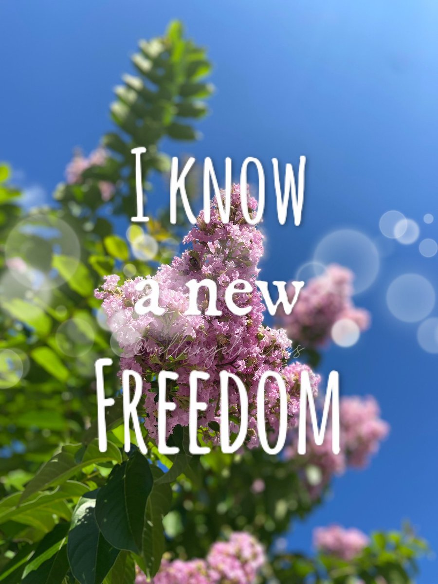 WellAngelMo's tweet photo. Say it with me!
#unleash #freedom #unconventional #healed #whole #atpeace #lookup #enjoy #grace #blessedup #ascensionmode #levelup #upgrade #gratitude #connection #unity #source #quantum #metaphysics #thoughtscreatethings #bestdayever https://t.co/TpCYK4VyT4