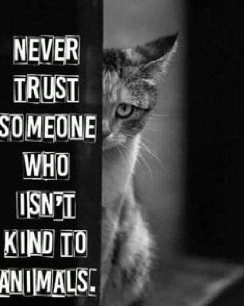 #ThoughtForTheDay 

Never trust someone who isn’t kind to animals.