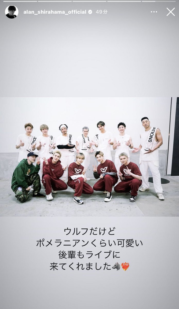 junkiyeah___'s tweet image. ポメラニアン　ハウル　ハーモニー
#PHH #WHH