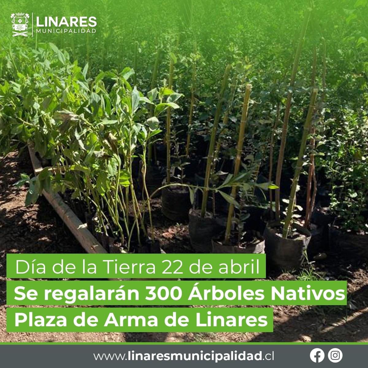 mmeza's tweet photo. 𝐃𝐢́𝐚 𝐝𝐞 𝐥𝐚 𝐓𝐢𝐞𝐫𝐫𝐚 🌎
Junto a la Dirección de medio ambiente, aseo y ornato #DIMAO te invitamos a participar para conmemorar el día de la tierra, este sábado 22 de abril desde 10:00 am hasta las 12:30 pm en nuestra plaza de armas (sigue) https://t.co/t0EVKruQgO