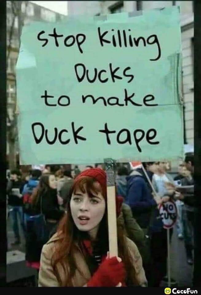 Global Race tweet media