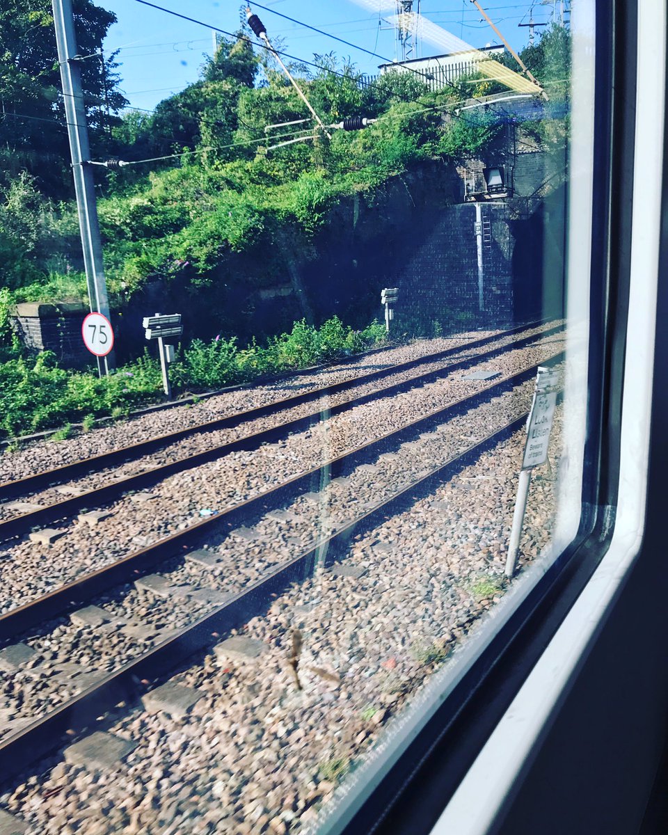 Global Race tweet media