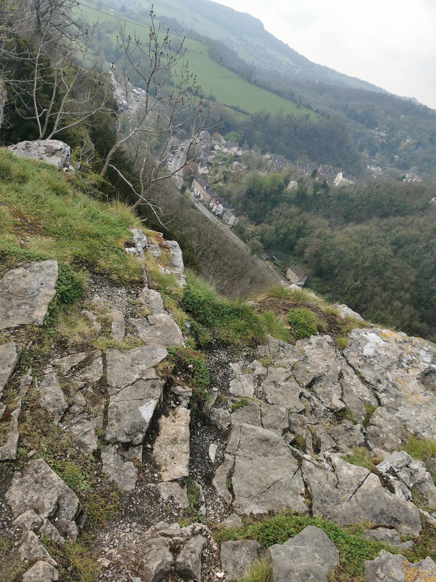 Livia Williams tweet media