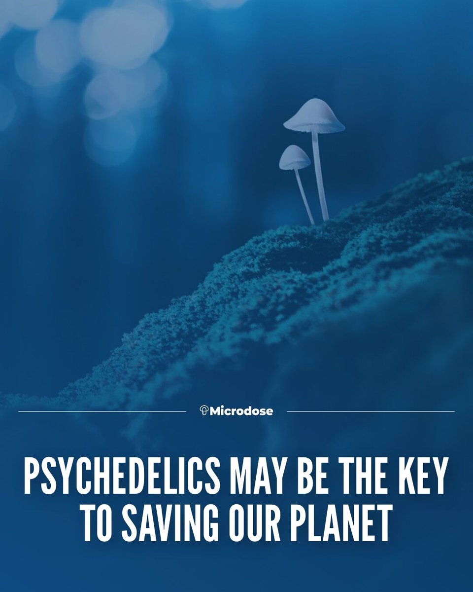 MicrodoseHQ's tweet photo. #EarthDay A study in 2022 found that the use of #psychedelics (mostly 🍄) is associated with increases in nature-relatedness and objective knowledge about #ClimateChange— prior research identified as strong predictors of pro-environmental behavior. https://t.co/x9jFisJyKN https://t.co/efD7fEgFyZ