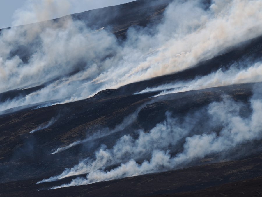 Nice to see this grouse moor in Perthshire doing its bit for climate change this week. A muirburn bang in the middle of the Curlew breeding season to celebrate World Curlew day? Ironic the grouse shooting industry try to kid us they care about Curlew.