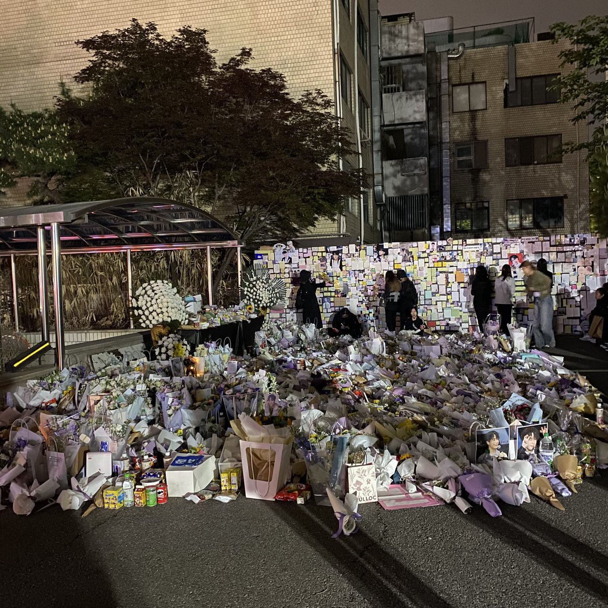 noonoorang's tweet photo. 소중한 나의 빈아!
오늘도 너 보고싶어서 꽃주러 왔어
꽃 사고 나서 하늘 보니까 달이 잘보이더라
빈이 생각나서 찍었어😃
아마 빈이 잘 도착해서 달이 잘 보인거 같아
나 또 올게! 사랑해! 문빈 https://t.co/OHO95Scpmp