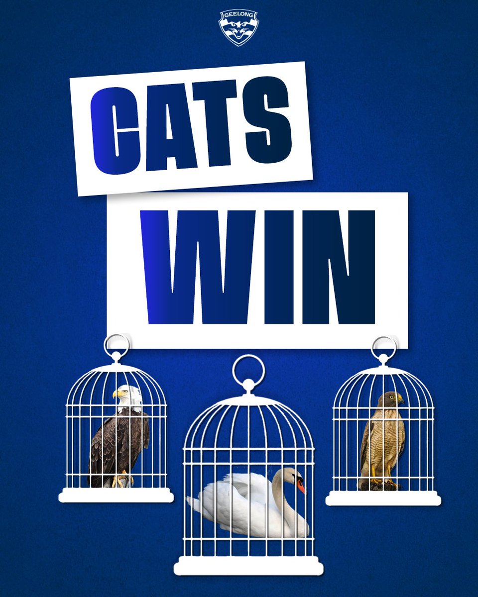 Geelong Cats tweet media