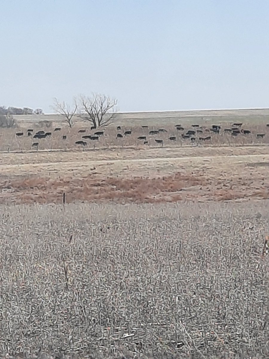 Michael Thompson tweet media