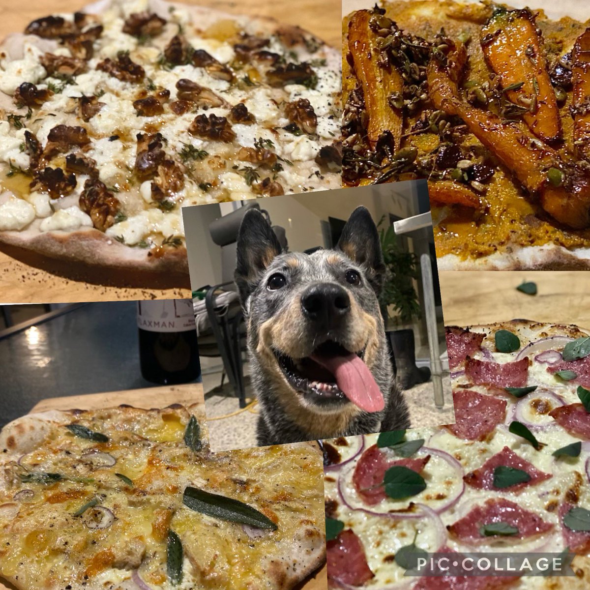 CallissClan's tweet photo. #PizzaNight inspired by #SabrinaGhayour #PersianaEveryday cheese, thyme & walnut flatbreads, #GillMeller #RootStemLeafFlower flatbreads with roasted carrots, spices & seeds, #GennaroContaldo #TwoGreedyItaliansEatItaly & #BrunyIslandCheeseCo… and #Wally, of course https://t.co/Rw8o20h6h2