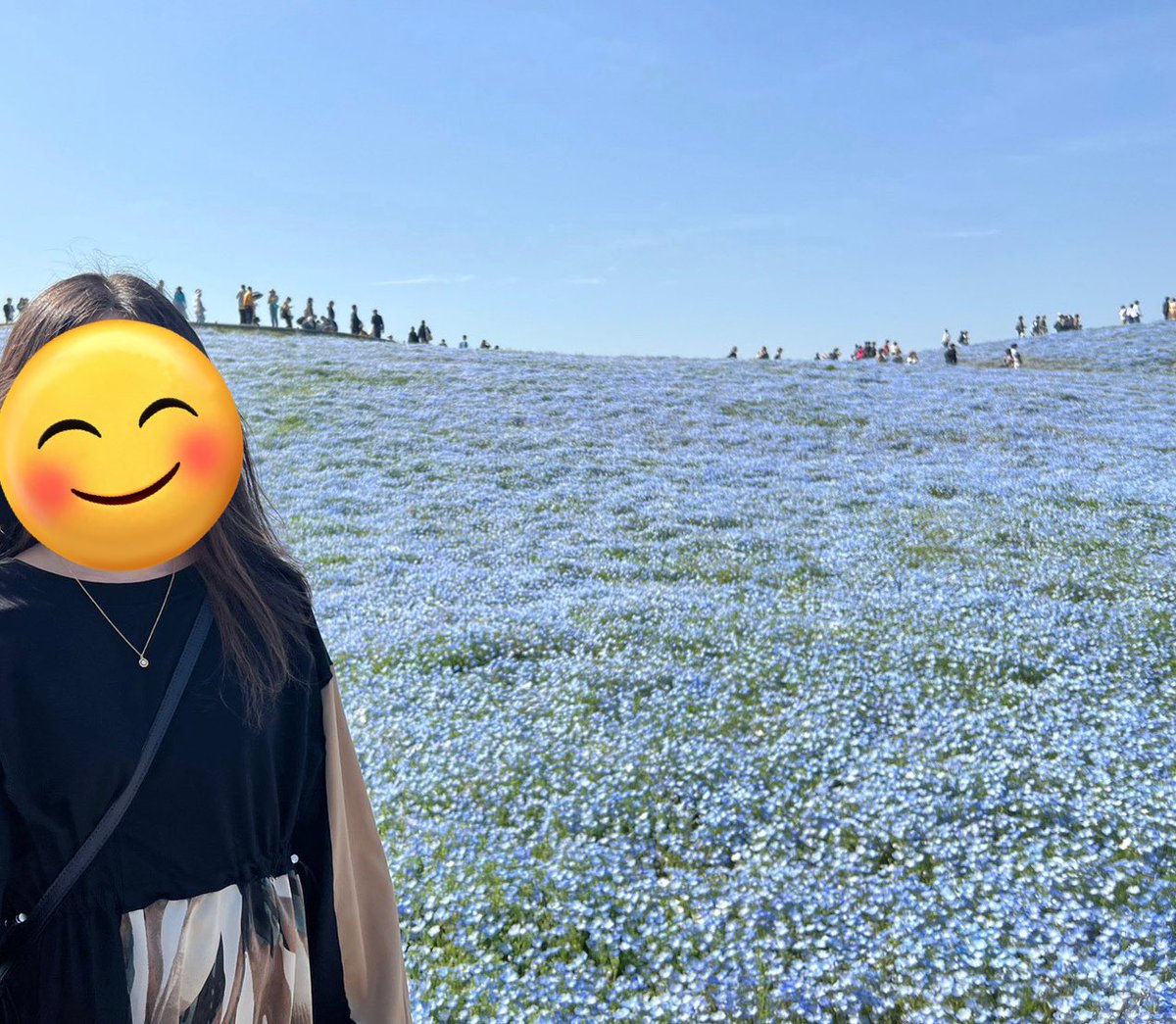 人酔いした

噂のネモフィラはとても美花だった
混雑えぐいて。