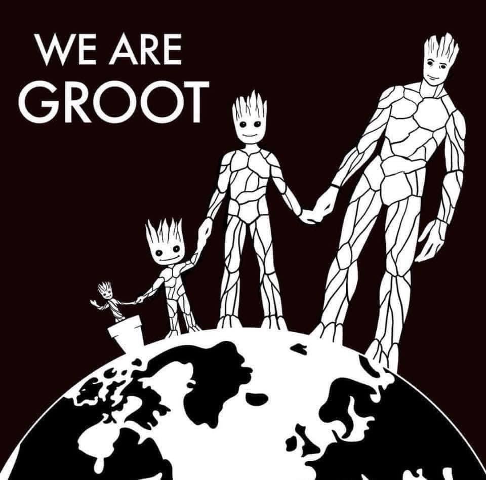 Happy Earth Day! 🪴💚

#HappyEarthDay2023 #EarthDay2023 #EarthDay23 #wearegroot