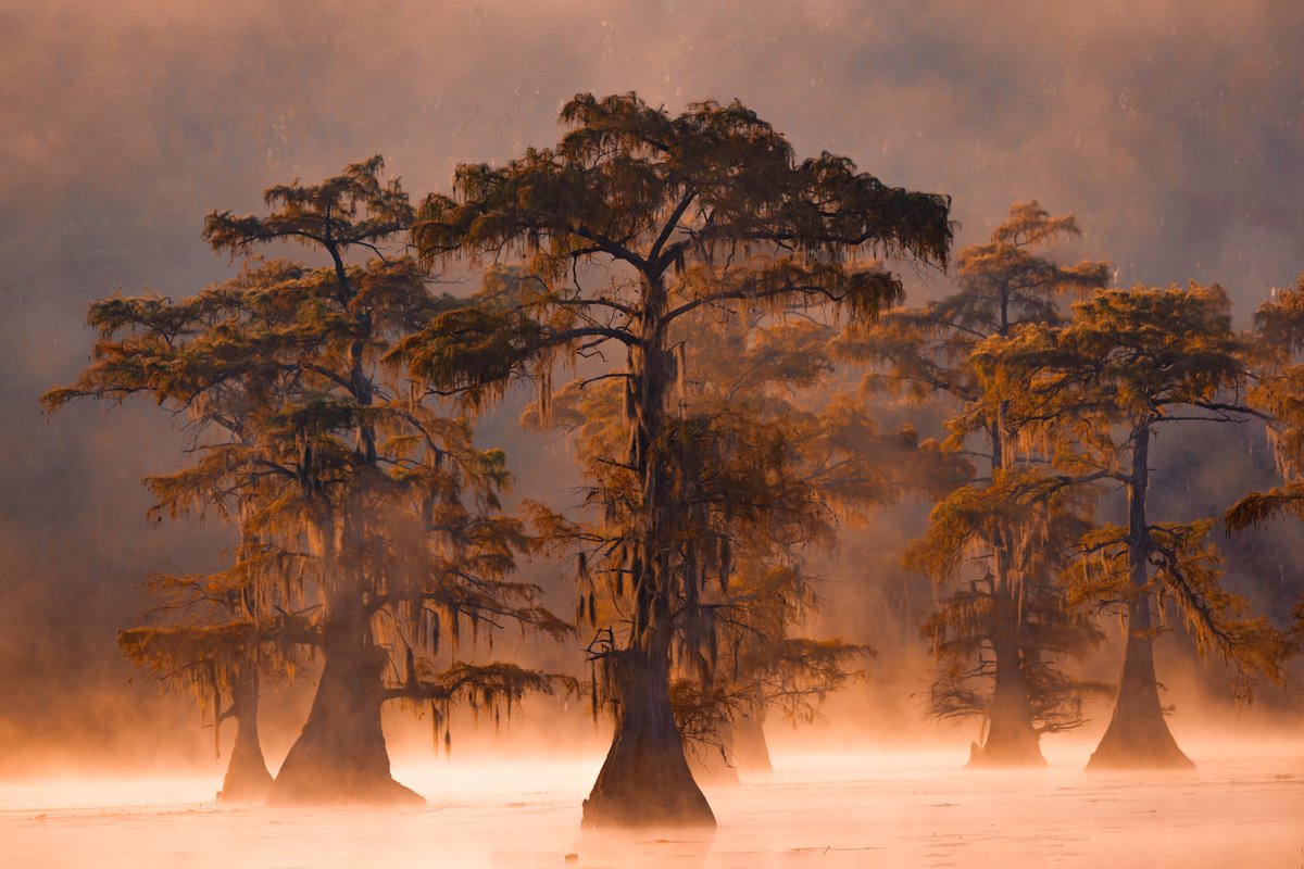 bernabephoto's tweet photo. Happy #EarthDay everyone! Let's take a moment to appreciate the stunning beauty of our planet and recommit to protecting it for future generations. I'm grateful for every opportunity to capture the majesty of this incredible world! #photography https://t.co/4lUvHget6i