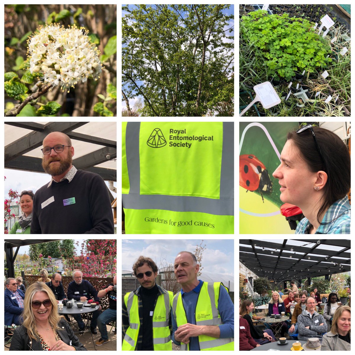 PolyTilly's tweet photo. A swarm of entomologists at @HortusLoci today to learn about @tommasseyuk’s @RoyEntSoc garden for @The_RHS Chelsea Flower Show. So exciting to be a part of this! https://t.co/u1PbLOERPj
