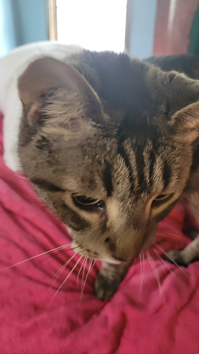 maygra's tweet image. 