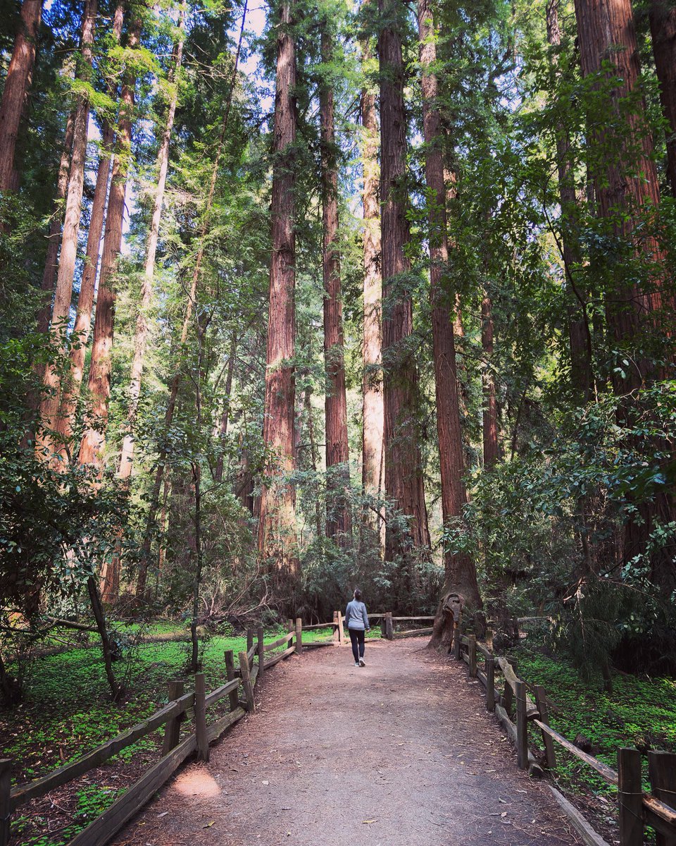 and i walked through a garden and fell in love with its blooms…

Redwoods, the tallest trees on Earth, are but one of the many wonders of this precious world we live in and to be in their presence is truly humbling. 

Happy Earth Day friends 💚🌱

#EarthDay2023