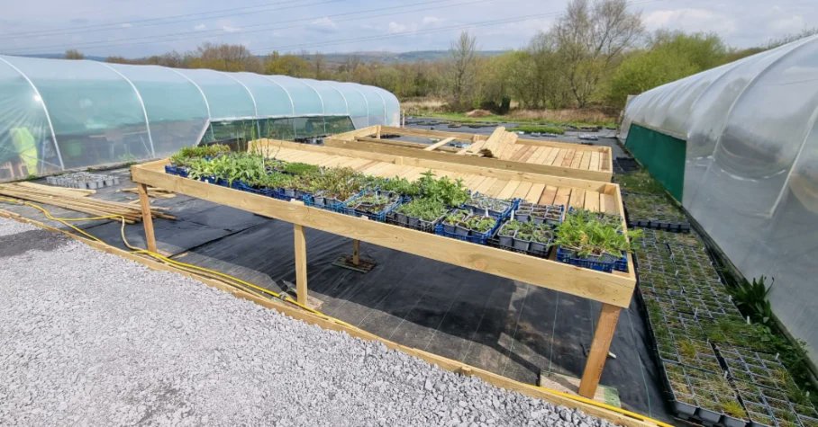 CelticWildflow1's tweet photo. Happy Earth Day! 🌎 

Good news! We are working on an outside standing area where people can view and buy plants directly from the nursery in Penllergaer.

⭐️🌱Opening Monday 15th May🌱⭐️
#wildflowernursery https://t.co/GEt8Dr0sHt