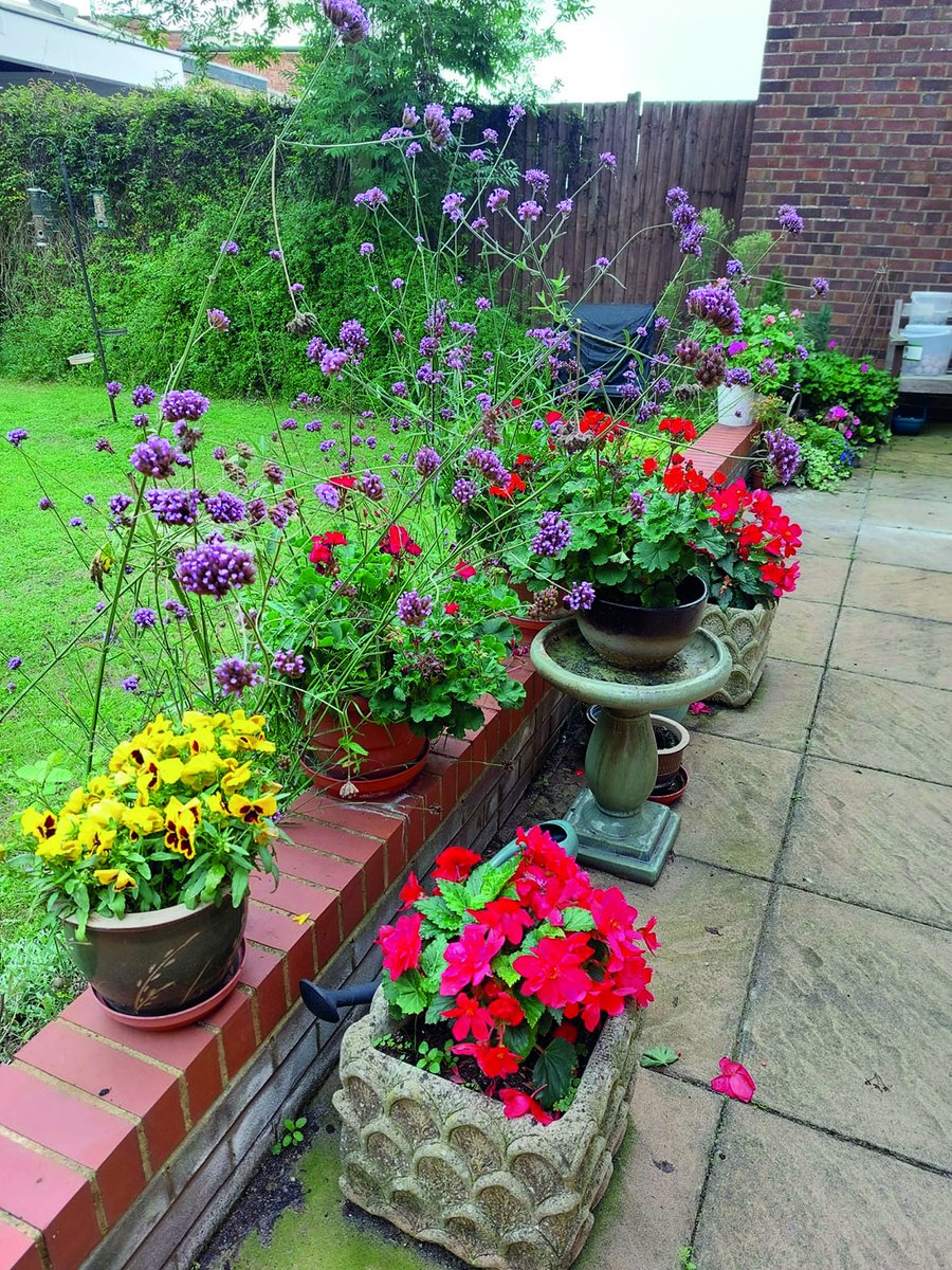 The Abbeyfield Society on Twitter "Last year, residents, staff and