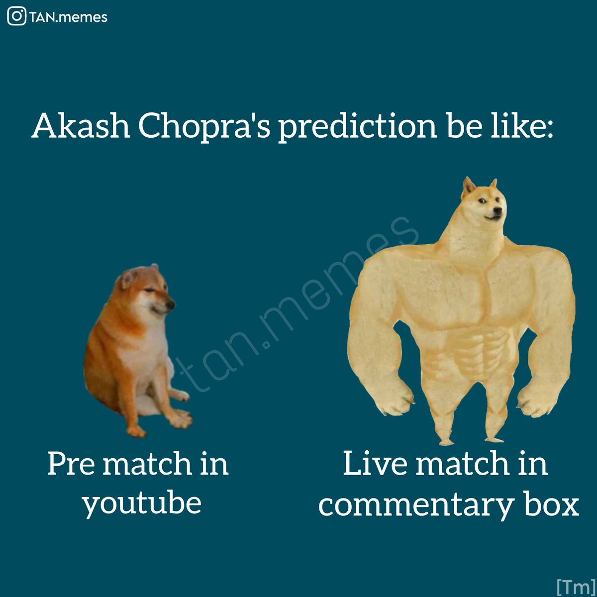 _tanmay_12's tweet photo. Wicket alert 😎
@cricketaakash https://t.co/XfegVZeDqV