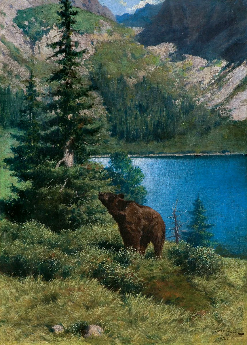 polmastersofart's tweet photo. Stanisław Witkiewicz - Niedźwiedź w Tatrach (olej na płótnie, 46 x 33 cm), 1892. #PolishMastersofArt #PolishArt #PolskaSztuka #StanislawWitkiewicz #Tatry https://t.co/f3fIvEipmx
