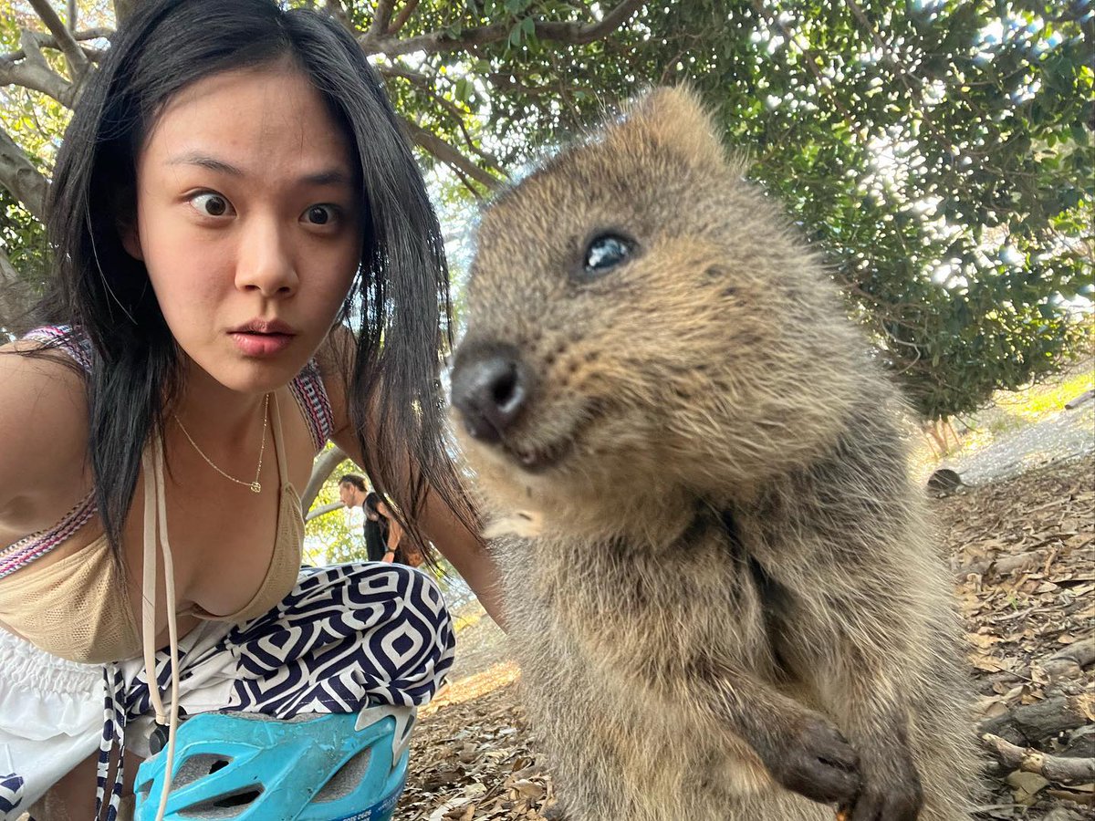 bibi_updates's tweet photo. 230422 @nakedbibi Instagram
#BIBI #비비 
https://t.co/qRu3uIZKPC

Quokka! https://t.co/b8CeGLk9Gt