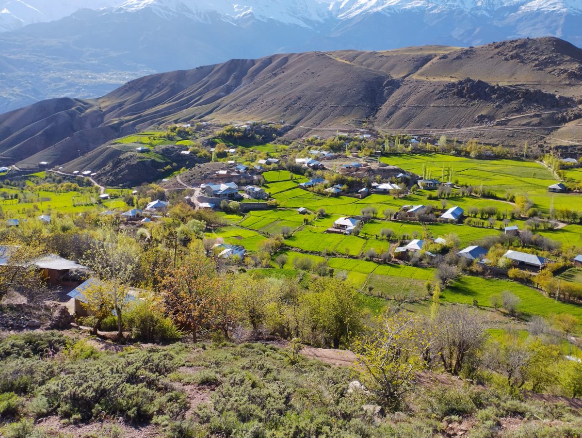 Humansofchitral's tweet photo. Charun-Ovir upper chitral today’s weather 😍 🌸 

#Chitral https://t.co/Pus1FKNhIV