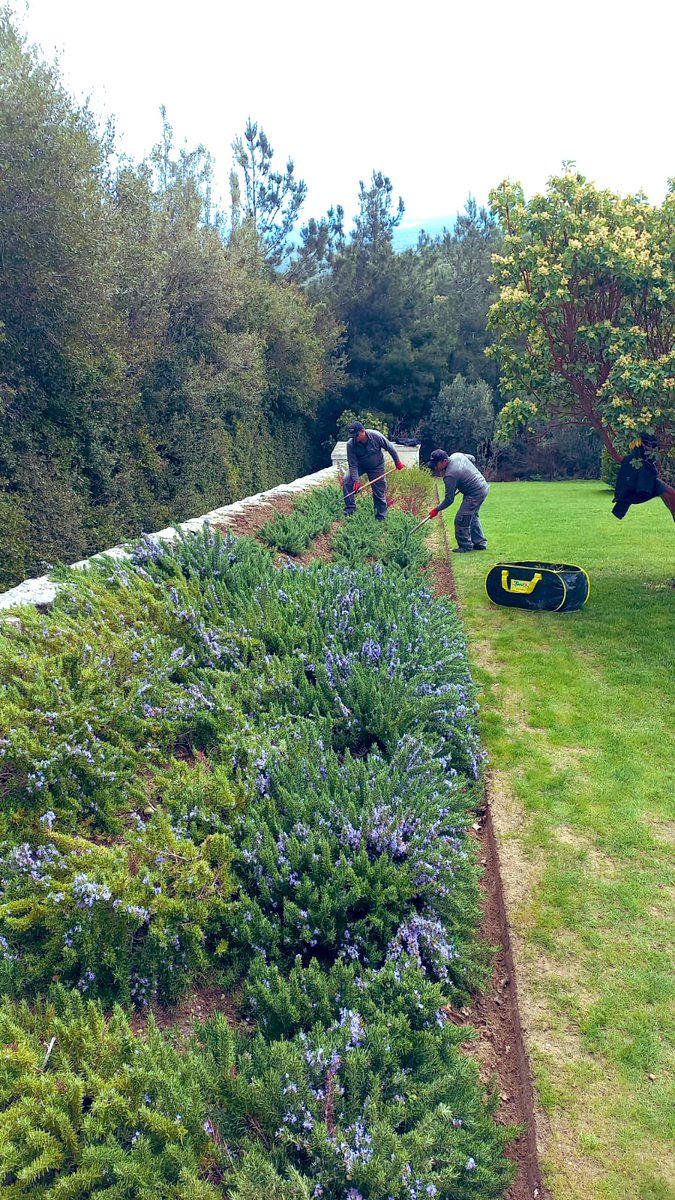 Our staff at working hard to keep the horticulture looking beautiful at Chunuk Bair Cemetery , Gallipoli.

RT <a href="/bnbgundogan/">Burak Gündoğan</a>