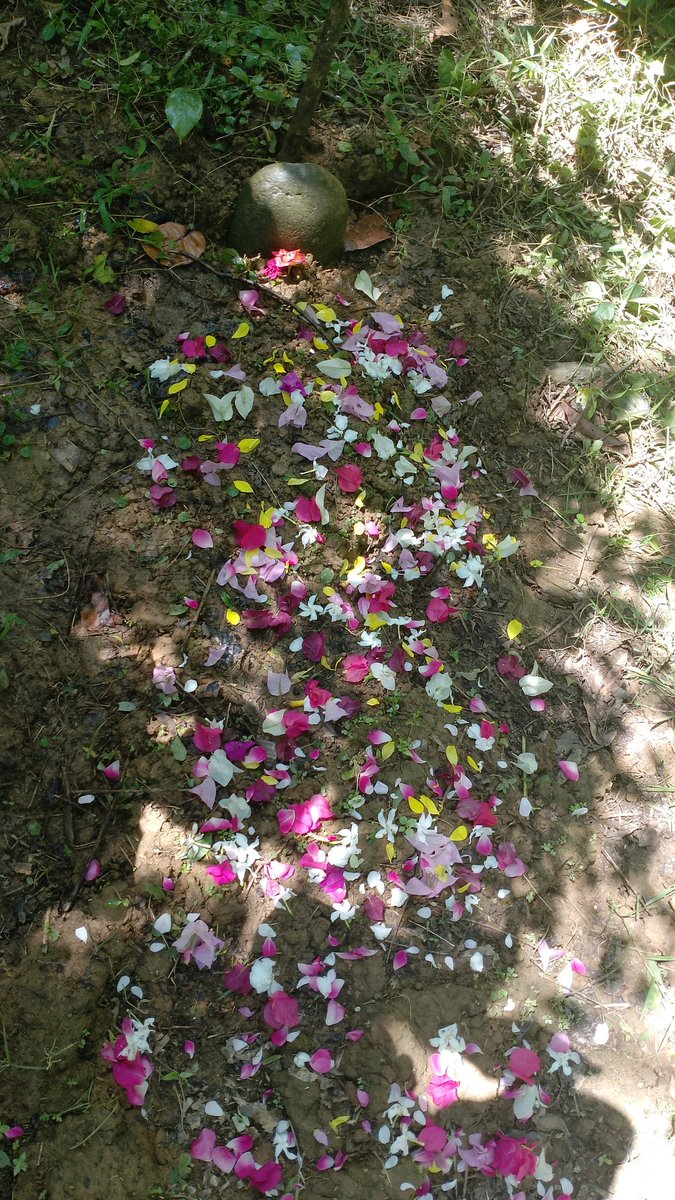 Muchsinprtm's tweet photo. Kalau dulu lebaran cium tangannya, lebaran skrg cium nisannya :( https://t.co/8iZ26t0Nsy