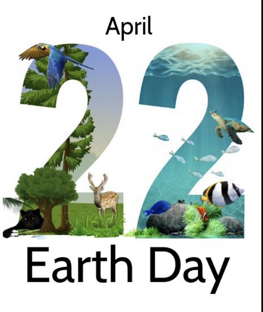 PineViewMiddle's tweet photo. #ibstrong #ibcaring #EarthDay2023 https://t.co/0scz0iVKzl
