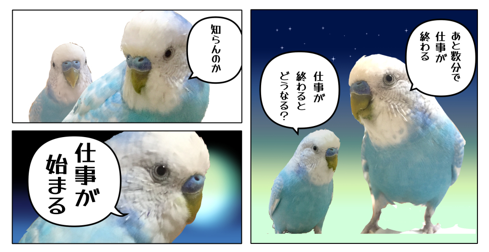トレンドにセキセイインコがあったので再掲しておきますね・・・🫠 