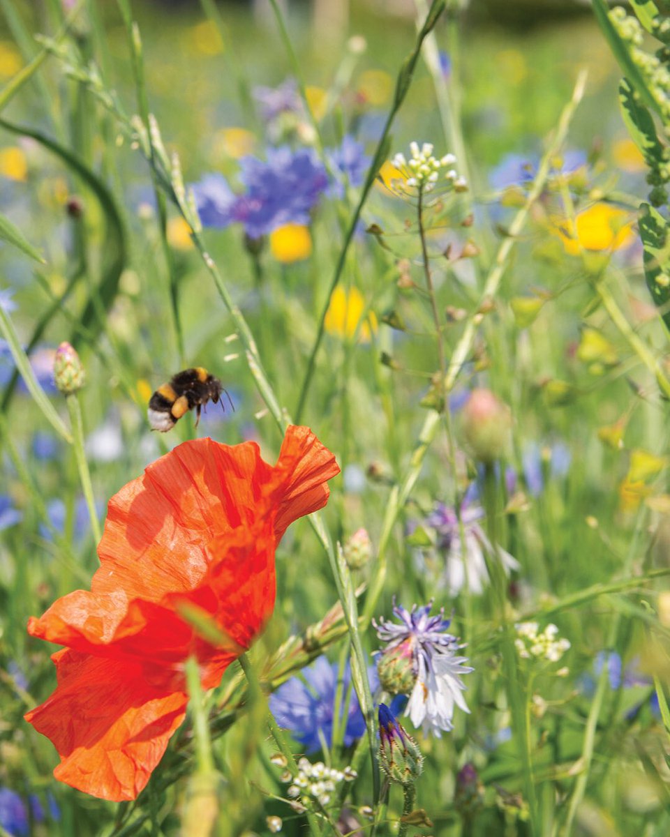 Paul van de Vijver tweet media