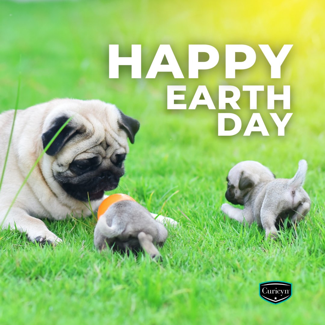 Curicynproducts's tweet photo. Happy #EarthDay from #Curicyn! 🌍 We're proud to offer safe and #EnvironmentallyFriendly solutions for #AnimalHealthCare that are gentle on your animals and the earth.

Let's all do our part to take care of our planet, one animal at a time. 🐴🐶🐔 #EarthDay2023 https://t.co/vzcqfTx24P
