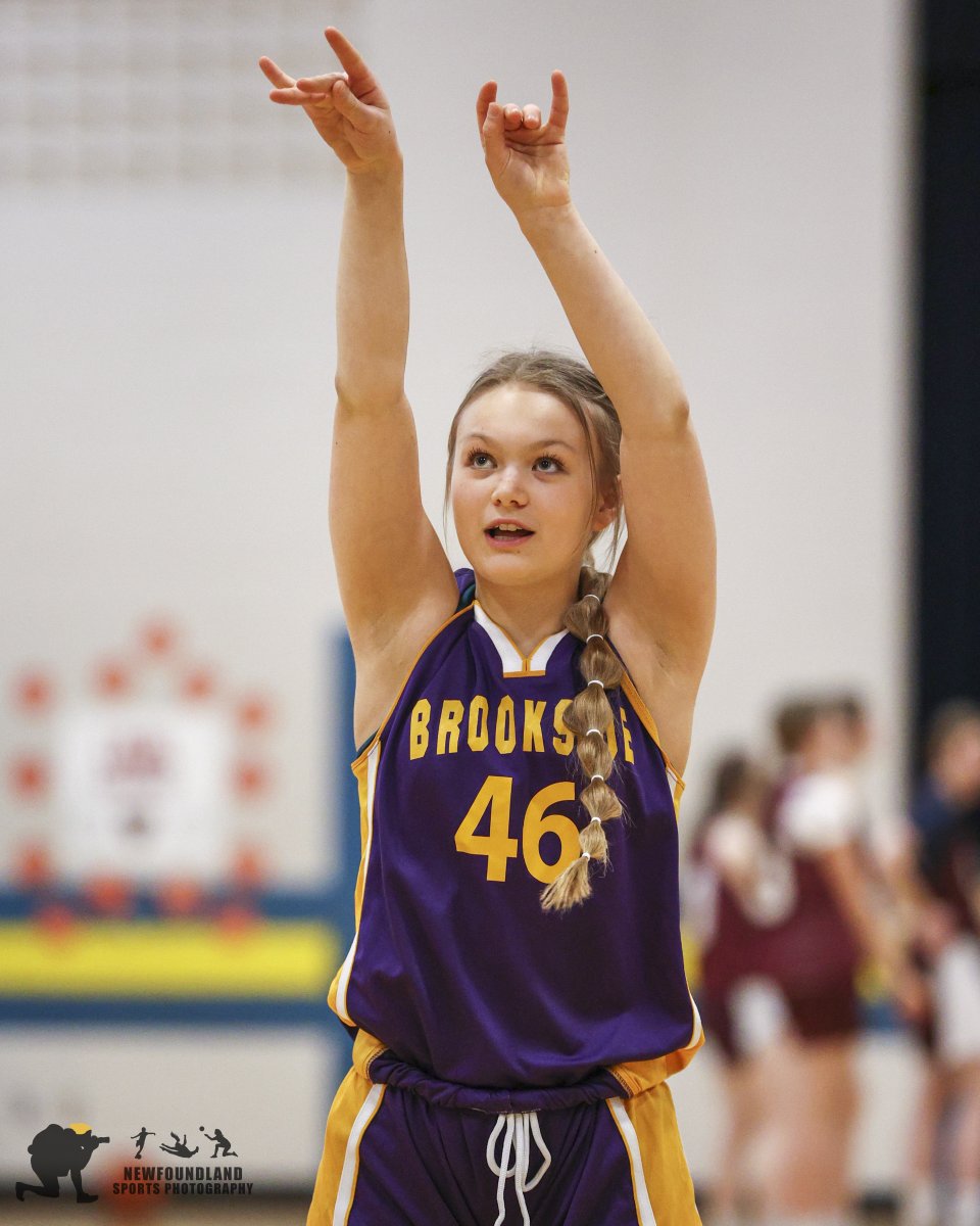 Newfoundland Sports Photos tweet media