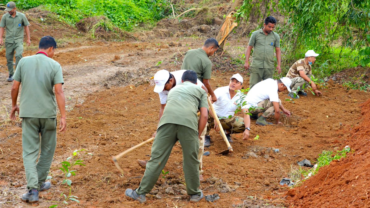 GuwahatiAirport's tweet photo. We organized a cleanliness drive in the city area to raise awareness about the harmful effects of plastic pollution and promote sustainable practices. The airport team, including our CAO, also conducted a tree plantation drive as part of our #Tree4Earth initiative. https://t.co/pNhdYANmdi