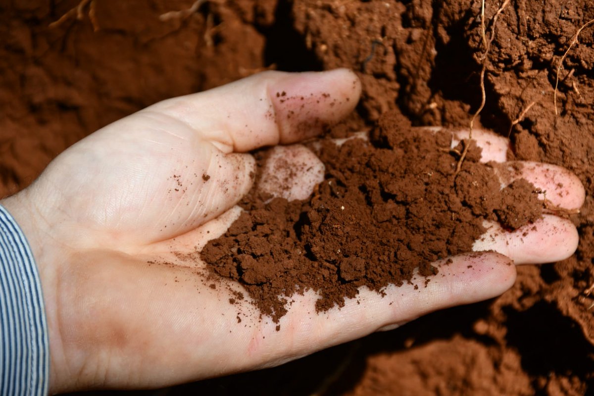 RT intaargentina "El mapeo estimó que los suelos de nuestro país almacenan 13,3 mil millones de toneladas de carbono orgánico en los primeros 30 cm. de profundidad. Sus futuras actualizaciones permitirán proyectar acciones para limitar las emisiones … "