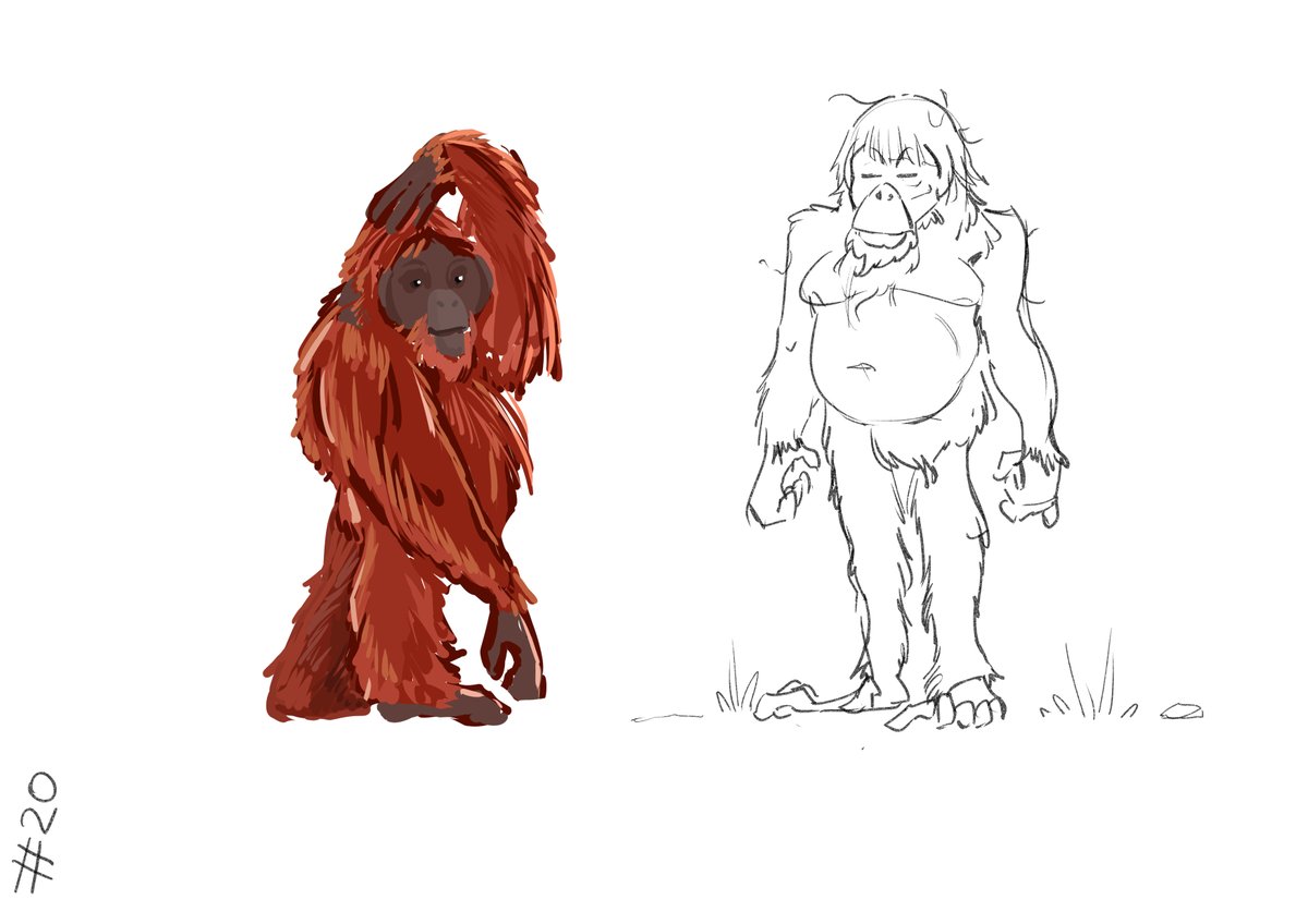 haris_71jan's tweet photo. 20 #animarch #Monkeys https://t.co/Ni6gn8KXls