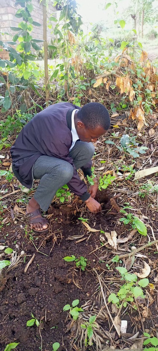 lensydan's tweet photo. Let's invest from the soils
#Inclusion_is also in the art of planting trees 
#HappyEarthDay2023 https://t.co/R9uEReadYF