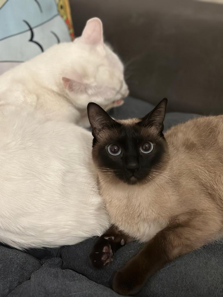 biz bayram şekeri olabilir miyiz? 👉👈