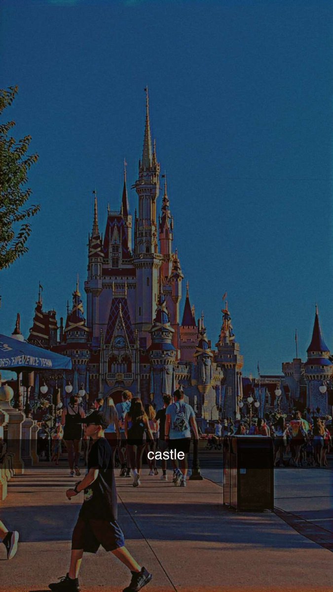 blujay073's tweet photo. ur streamer is at disney world https://t.co/4wkOhmOXW1