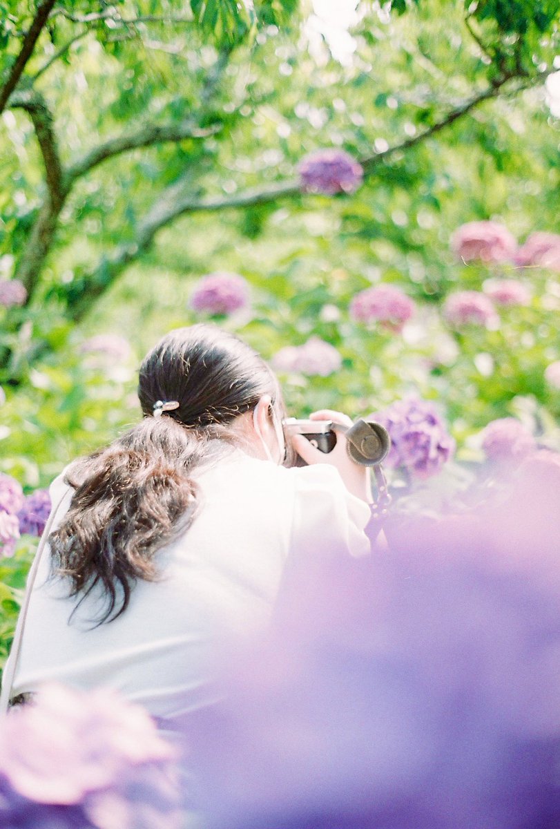 NDGSlove's tweet photo. 今日現像した写真は去年のフィルム
一周回ってちょうどいい季節に💠
写真撮りいこー！ https://t.co/5VuvOJbYsI