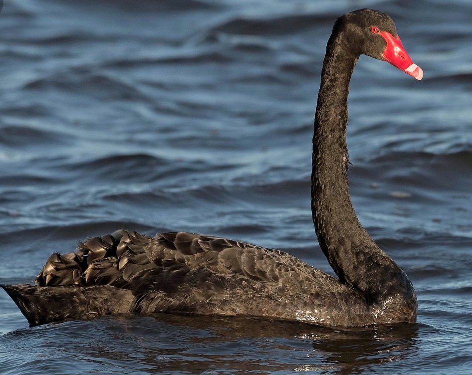 smileycapital's tweet image. take precautions

I have.