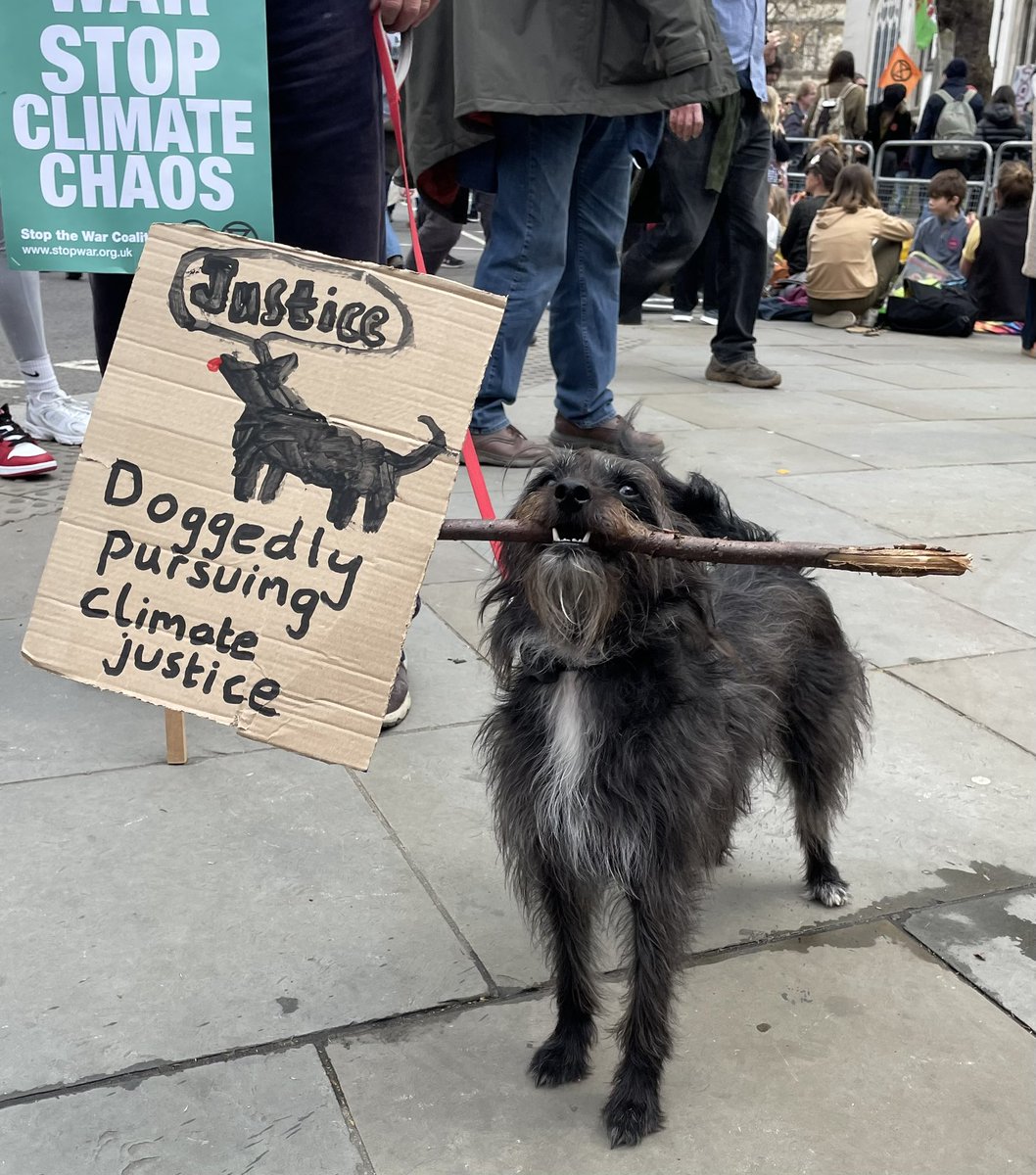 RewildingB's tweet photo. Earth day, mirth day! Happy #EarthDay2023 Stressed about climate and ecological breakdown, tanking economy, poor health and well being? Get down here to join #TheBigOne - we’re spotting the 
best puns! 🌿🌳🦉🦫👱🏼‍♂️👩🏼‍🦳🧔‍♂️🧓🏼👩🏻‍🦱 https://t.co/60OVqG2173